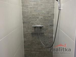 Prodej bytu 4+1, Opava - Předměstí, Olomoucká, 109 m2