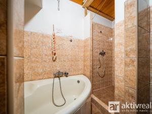 Prodej obchodního prostoru, Neratovice, Hlavní, 620 m2