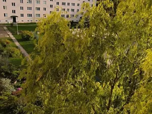 Prodej bytu 2+1, Ostrava, Sokolovská, 60 m2