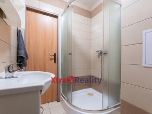 Prodej bytu 1+1, Teplice - Řetenice, Bratislavská, 41 m2