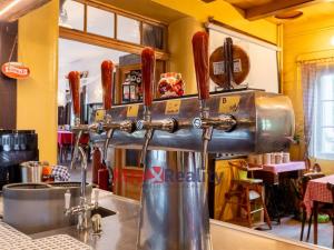 Prodej rodinného domu, Mařenice - Dolní Světlá, 424 m2