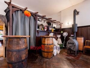 Prodej rodinného domu, Mařenice - Dolní Světlá, 424 m2