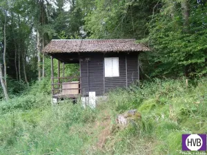 Prodej chaty, Horní Planá, 19 m2