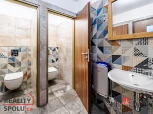 Prodej činžovního domu, České Budějovice - České Budějovice 7, Lidická tř., 200 m2