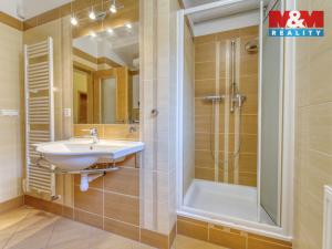 Prodej rodinného domu, Zruč-Senec - Zruč, Zlatá, 266 m2