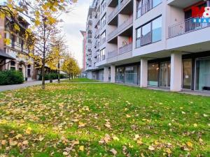 Pronájem kanceláře, Praha, Jankovcova, 58 m2