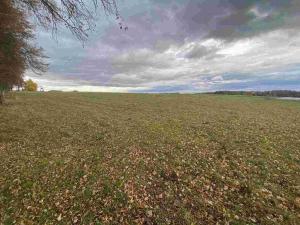 Prodej komerčního pozemku, Strážkovice, 4604 m2