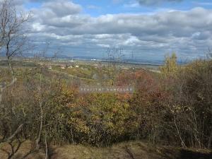 Prodej zahrady, Židlochovice, 2384 m2