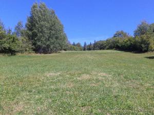 Prodej pole, Strašín, 33901 m2