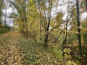 Prodej pozemku, Svijany, 4905 m2