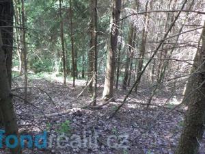 Prodej pozemku, Dolní Dobrouč, 4634 m2