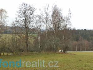 Prodej pole, Zdíkov - Branišov, 20225 m2