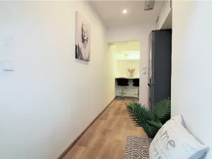 Pronájem bytu 1+1, Praha - Karlín, Vítkova, 43 m2