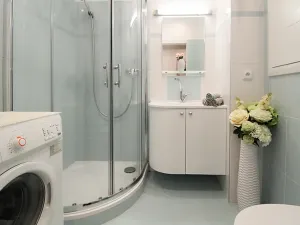 Pronájem bytu 1+1, Praha - Karlín, Vítkova, 43 m2