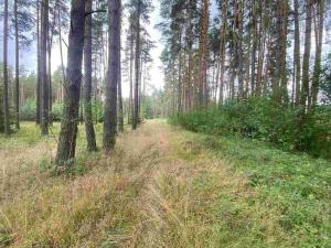 Prodej pozemku, Kladruby - Tuněchody, 2230 m2