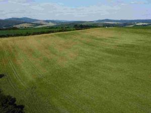 Prodej pozemku, Dobrkovice, 30944 m2