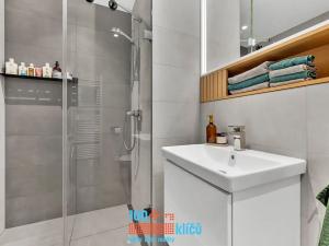 Prodej bytu 2+kk, Praha - Holešovice, U průhonu, 50 m2