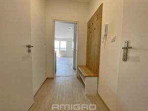 Pronájem bytu 1+kk, Brno, Reissigova, 32 m2