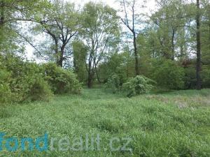 Prodej pozemku, Dětmarovice - Koukolná, 1844 m2