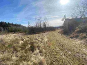 Prodej pole, Františkovy Lázně, 15408 m2