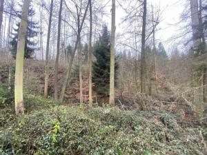 Prodej pozemku, Hosín - Dobřejovice, 10244 m2