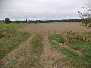 Prodej pozemku, Radošovice - Tupesy, 1227 m2