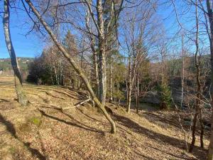 Prodej pozemku, Železná Ruda - Špičák, 1644 m2