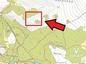 Prodej lesa, Věchnov, 415 m2