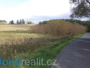 Prodej pole, Tachov, 55727 m2