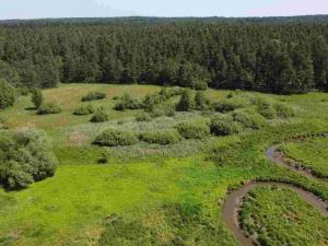 Prodej pozemku, Jílovice, 20535 m2