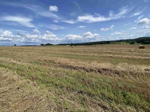 Prodej pole, Lhenice - Hrbov, 55481 m2