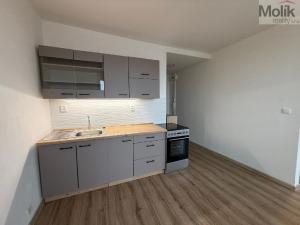 Prodej bytu 1+1, Jirkov, Pionýrů, 35 m2