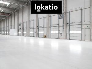 Pronájem skladu, Odrava - Obilná, 20821 m2