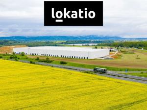 Pronájem skladu, Odrava - Obilná, 20821 m2