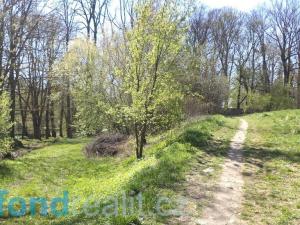 Prodej pozemku, Dačice, 326 m2