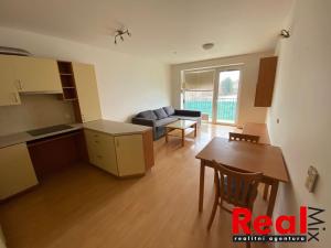 Pronájem bytu 2+kk, Brno - Královo Pole, Purkyňova, 66 m2