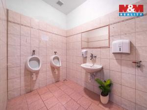 Prodej restaurace, Zvíkovec, 275 m2