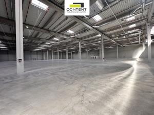Pronájem skladu, Údlice, Droužkovická, 15000 m2