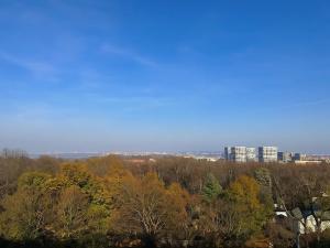 Pronájem bytu 2+kk, Praha, Vinohradská, 61 m2