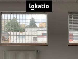 Pronájem skladu, Kutná Hora, Hrnčířská, 4894 m2