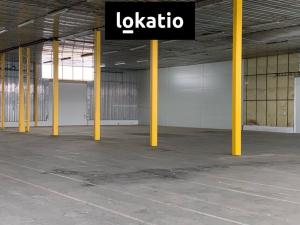 Pronájem skladu, Kutná Hora, Hrnčířská, 4894 m2