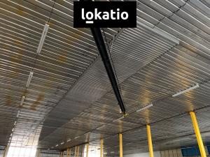 Pronájem skladu, Kutná Hora, Hrnčířská, 4894 m2