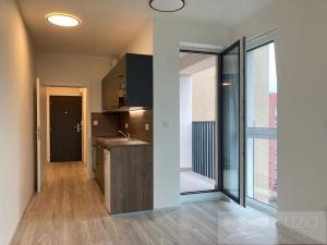 Pronájem bytu 1+kk, Plzeň, Goldscheiderova, 34 m2