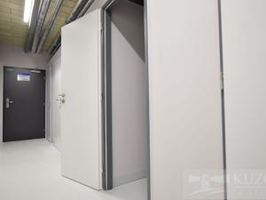 Pronájem bytu 1+kk, Plzeň, Goldscheiderova, 34 m2