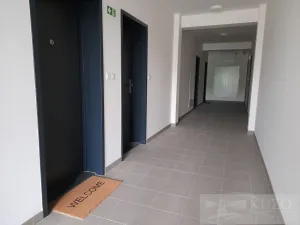 Pronájem bytu 1+kk, Plzeň, Goldscheiderova, 34 m2