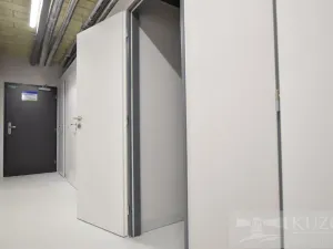 Pronájem bytu 1+kk, Plzeň, Goldscheiderova, 34 m2