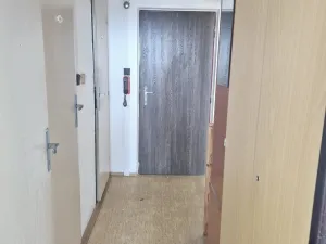 Pronájem bytu 1+1, Plzeň, Brněnská, 40 m2