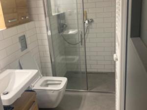 Pronájem bytu 1+kk, Brno - Zábrdovice, Vlhká, 27 m2