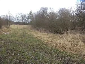 Dražba louky, Novosedly nad Nežárkou, 6591 m2