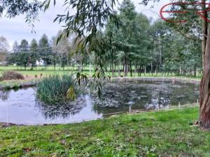 Prodej komerčního pozemku, Běleč, 945 m2